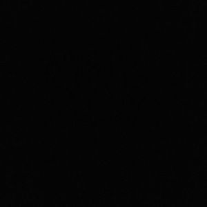 Meet your Posher, Kenzie